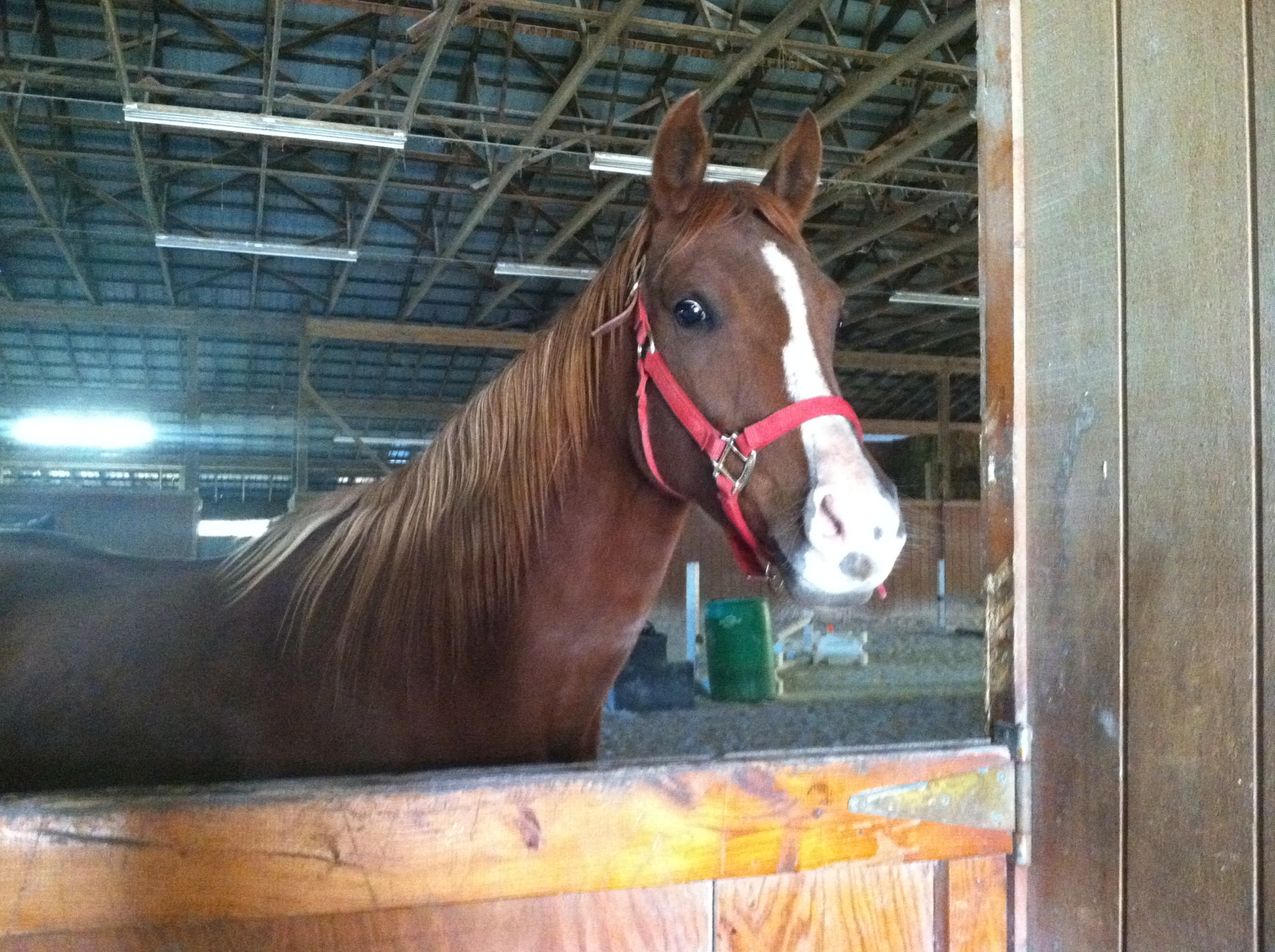 Harley Farm photo