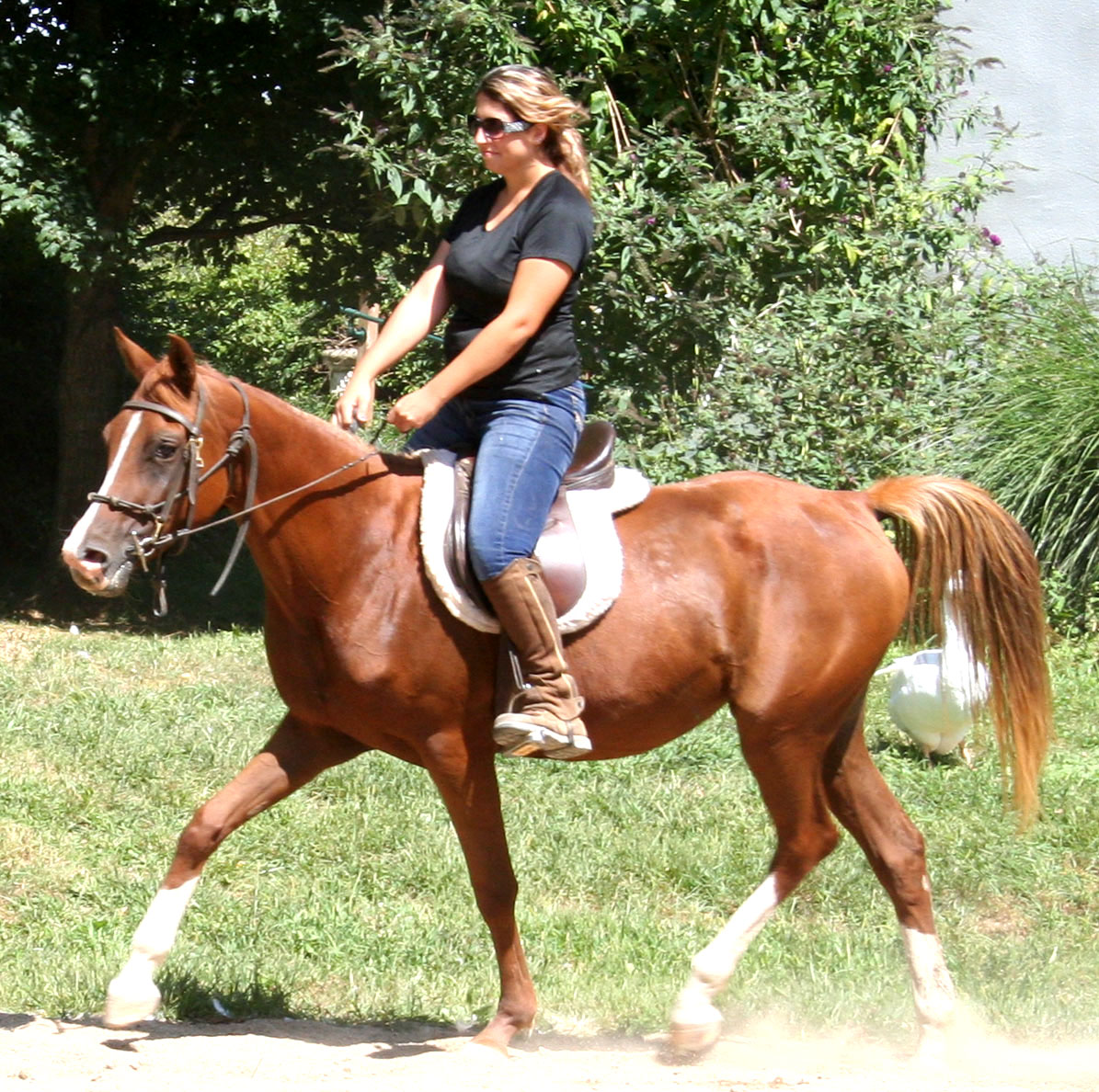 Harley Farm photo