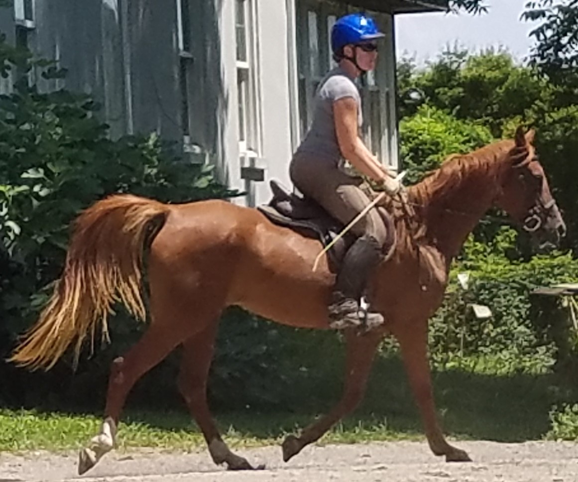 Harley Farm photo