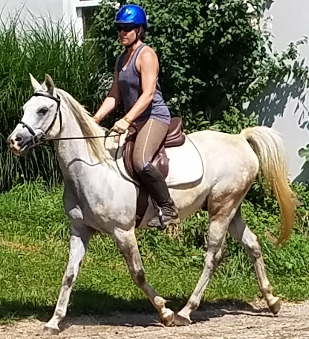 Harley Farm photo