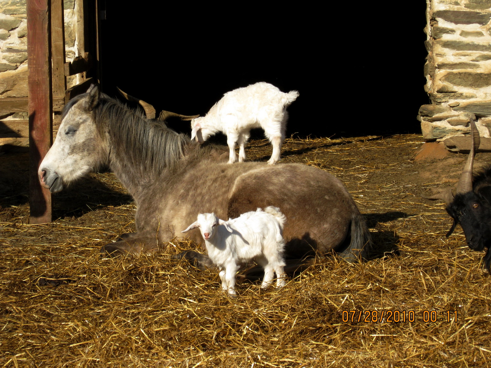 Harley Farm photo
