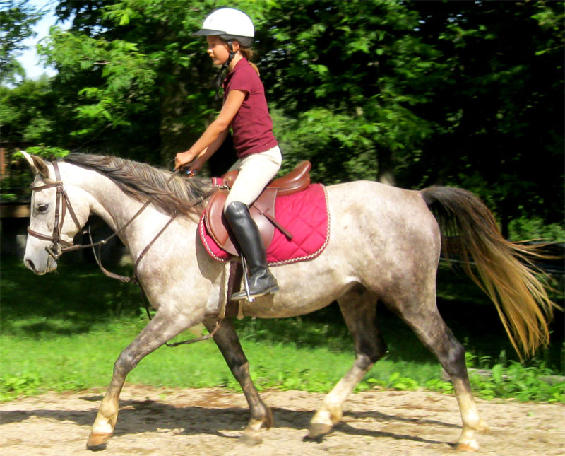 Harley Farm photo