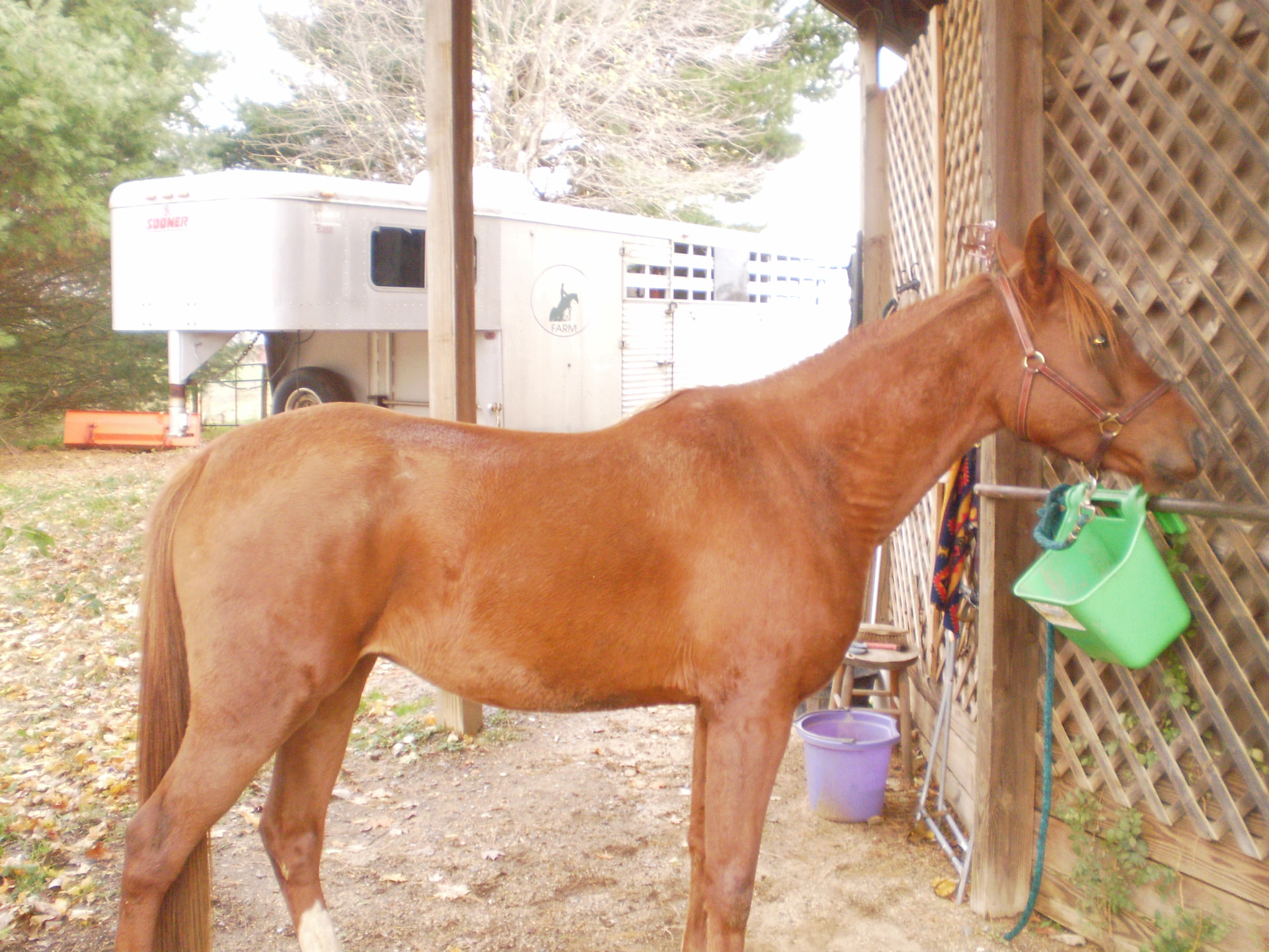 Harley Farm photo