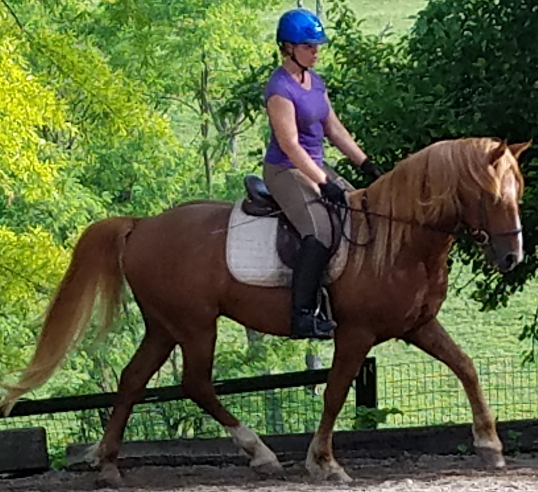 Harley Farm photo