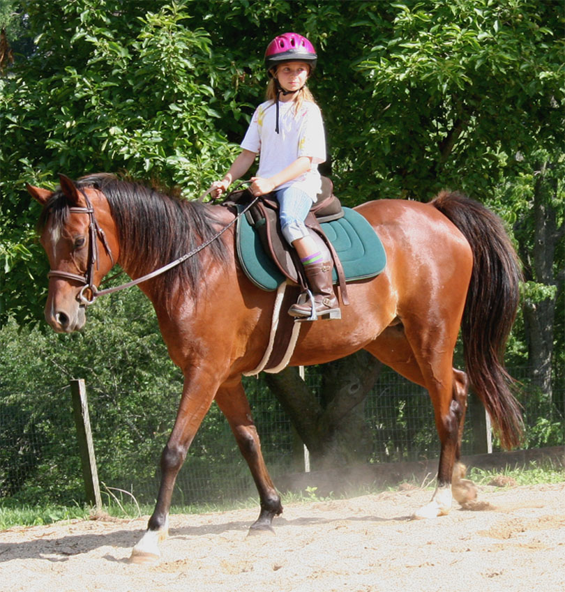 Harley Farm photo