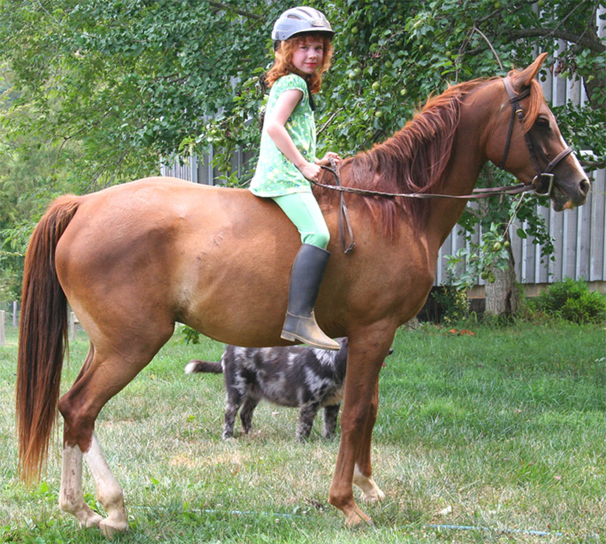 Harley Farm photo