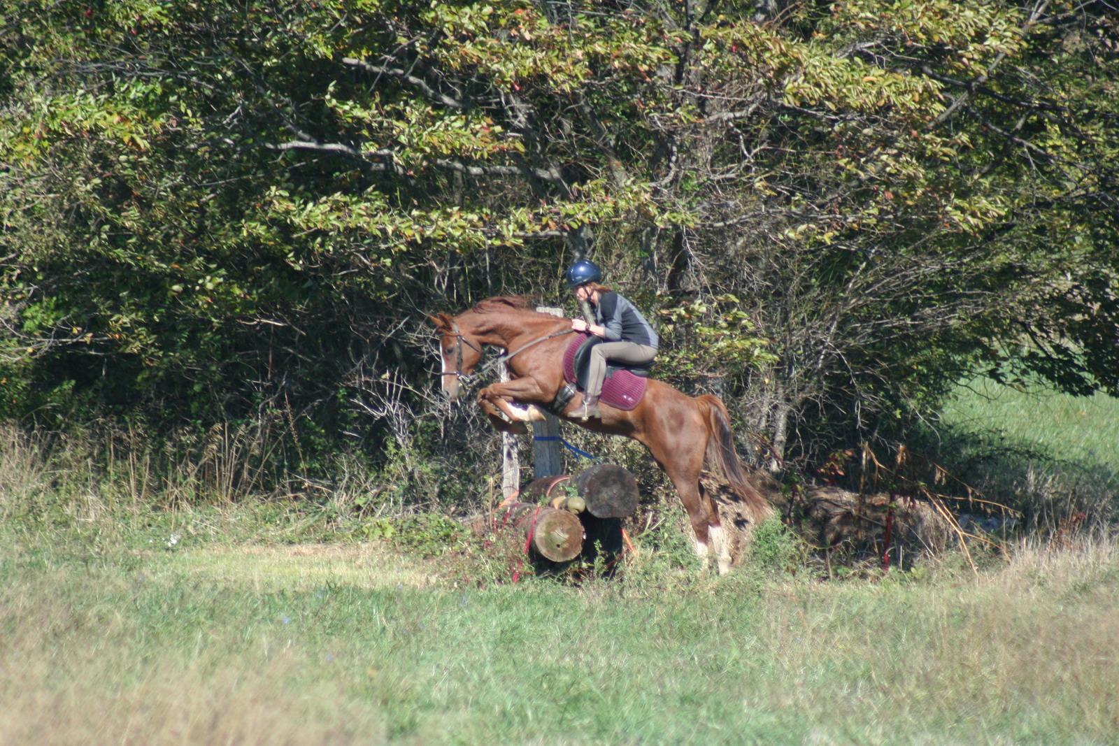 Harley Farm photo