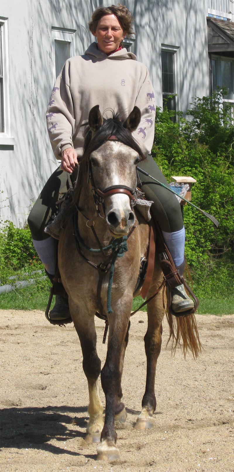 Harley Farm photo