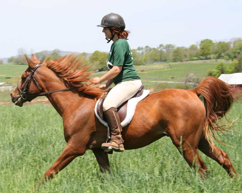 Harley Farm photo